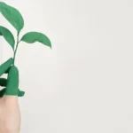 Tata Steel nieuws: CO₂-reductieplan bekend