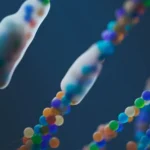 Hoe polymeren industrieel worden toegepast