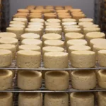 Hoe wordt melk verwerkt tot kaas