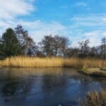 De opkomst van plantaardige productieprocessen in de voedingsindustrie