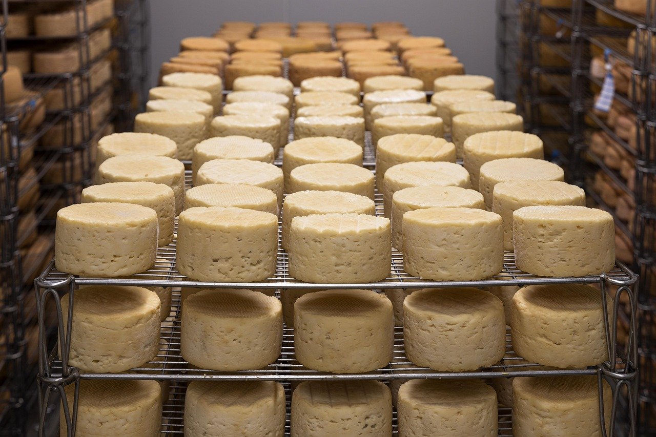 Hoe werkt pasteurisatie bij plantaardige melk