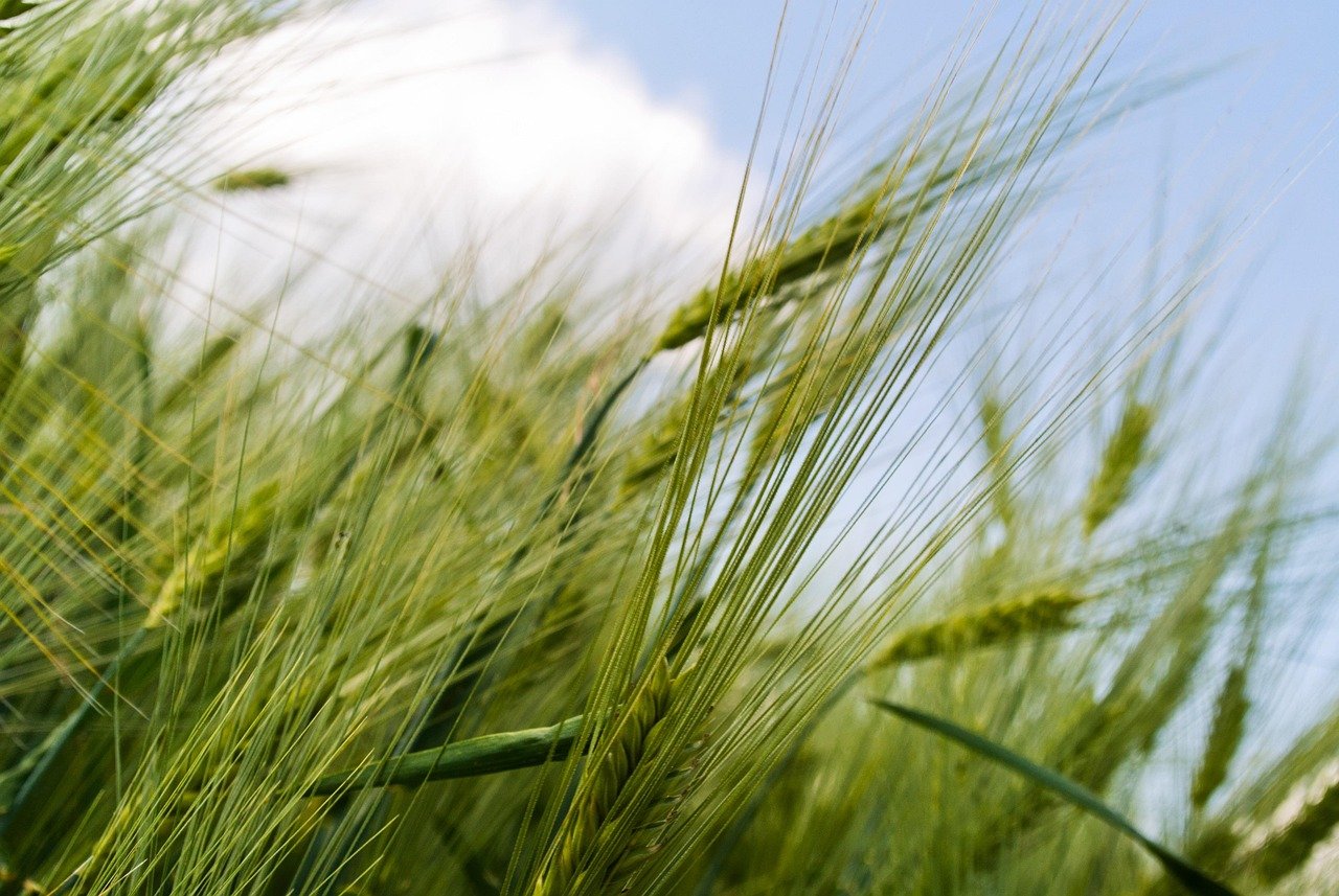 Hoe wordt groene waterstof opgeslagen en vervoerd