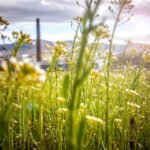 De toekomst van geothermie in Nederland